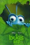 A Bug's Life