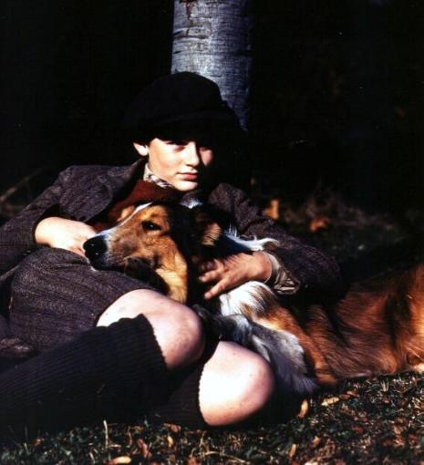 A Tribute to Roddy McDowall - Lassie Come Home (lassie06.jpg)