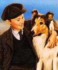A Tribute to Roddy McDowall - Lassie Come Home (lassie09.jpg)