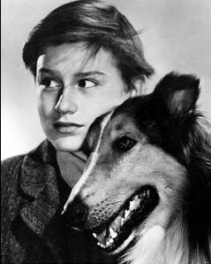 A Tribute to Roddy McDowall - Lassie Come Home (lassie10.jpg)