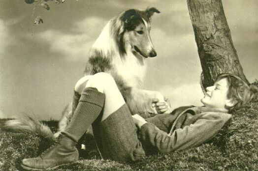 A Tribute to Roddy McDowall - Lassie Come Home (lassie12.jpg)