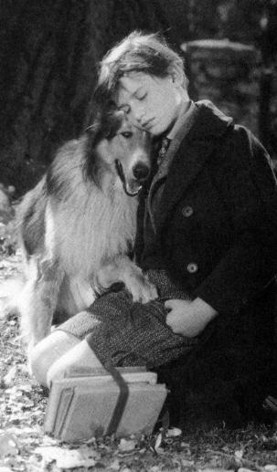 A Tribute to Roddy McDowall - Lassie Come Home (lassie14.jpg)
