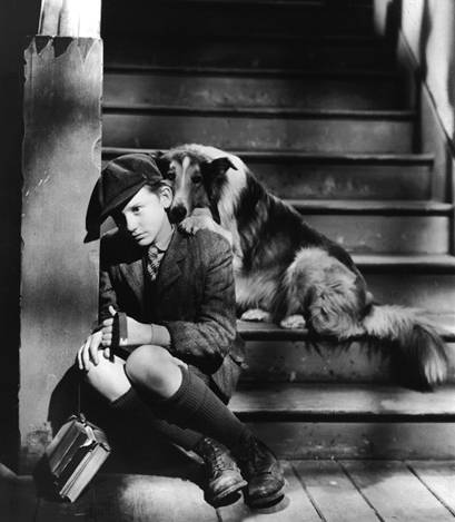 A Tribute to Roddy McDowall - Lassie Come Home (lassie20.jpg)