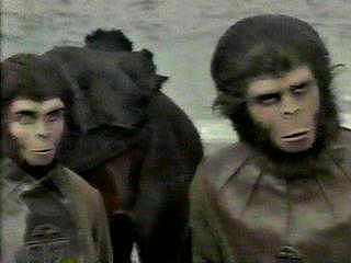 A Tribute to Roddy McDowall - Planet of the Apes (apes04.jpg)