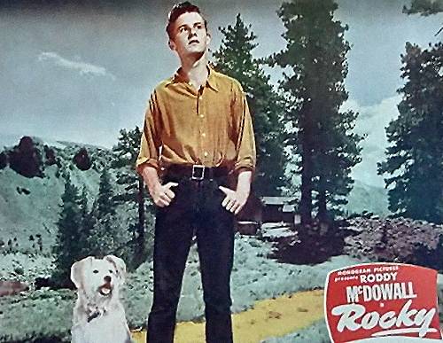 A Tribute to Roddy McDowall - Rocky (rocky06.jpg)