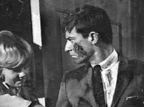 A Tribute to Roddy McDowall - That Darn Cat (thatdc02.jpg)