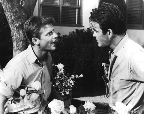 A Tribute to Roddy McDowall - Shock Treatment (shock1b.jpg)