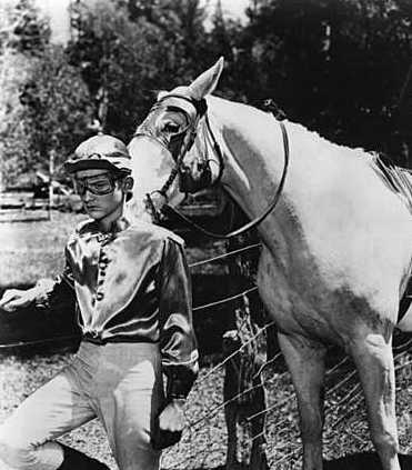 A Tribute to Roddy McDowall - Thunderhead: Son of Flicka (thunder01.jpg)