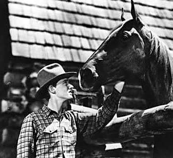 A Tribute to Roddy McDowall - Thunderhead: Son of Flicka (thunder02.jpg)