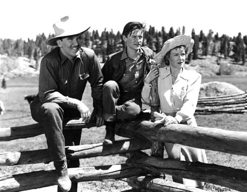 A Tribute to Roddy McDowall - Thunderhead: Son of Flicka (thunder11.jpg)