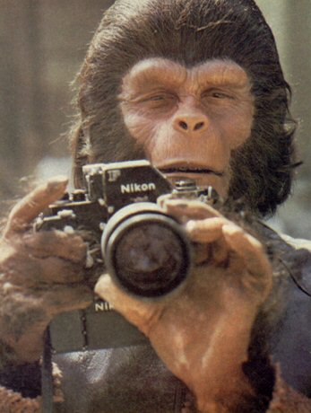 A Tribute to Roddy McDowall - roddycam.jpg