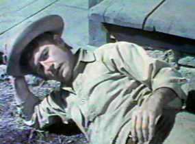 A Tribute to Roddy McDowall - 5 Card Stud (5card06.jpg)