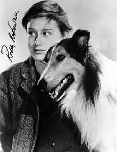 A Tribute to Roddy McDowall - Lassie Come Home (lassrm.jpg)